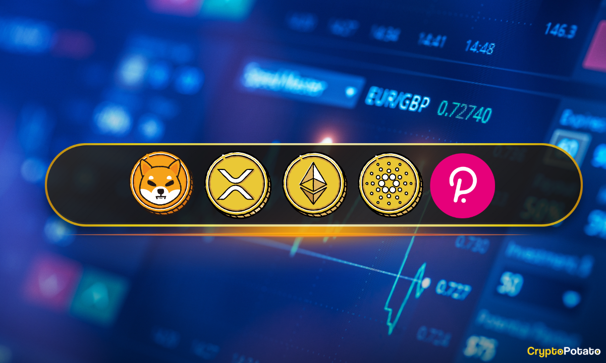03年5月加密货币价格分析：ETH、XRP、ADA、SHIB和DOT