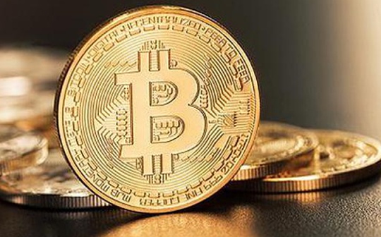 金色早报丨机构将在未来几个季度加速比特币采用 基金公司为SEC拒绝ETF做好准备
